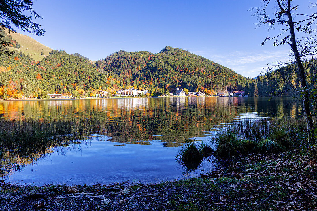 Spitzingsee am Ufer im Herbst, Bayern, Deutschland