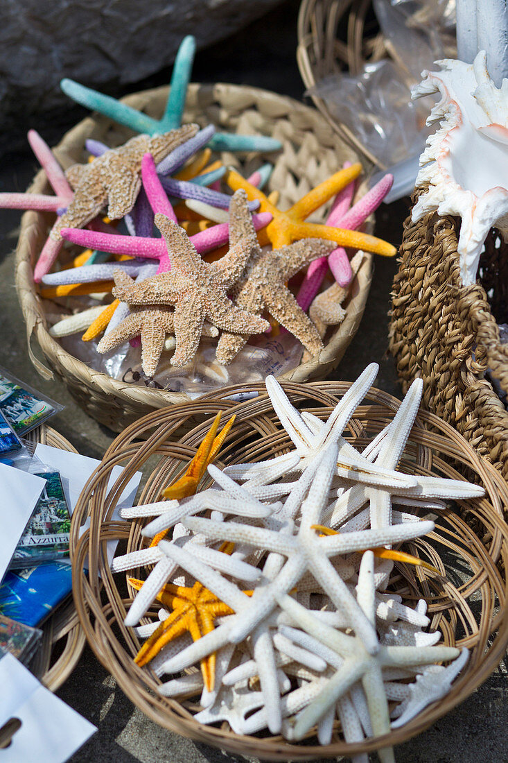 Close-up of dried starfish in Capri, Italy