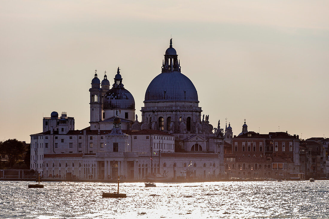 Santa Maria della Salute in the evening light in Venice, Veneto, Italy