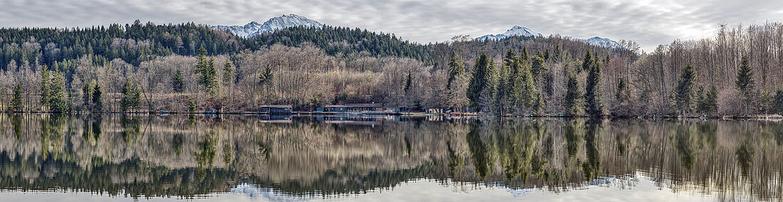 Tüttensee in Chiemgau panorama with reflection, Bavaria, Germany