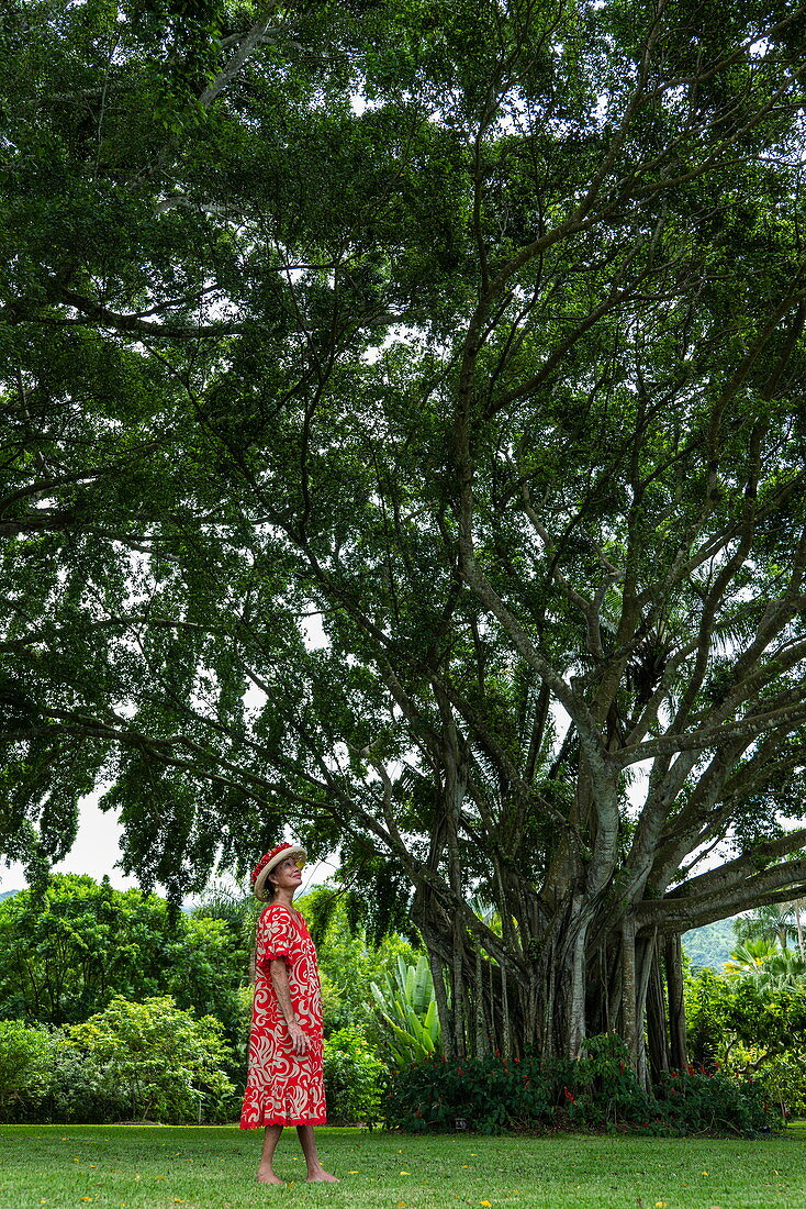 Würdige Tahitianerin steht vor riesigem Banyan Baum in Garten, Tahiti, Windward Islands, Französisch-Polynesien, Südpazifik