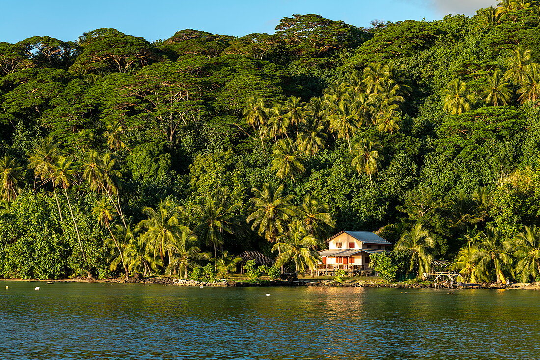 Kokospalmen und Haus entlang Lagune von Bora Bora, Bora Bora, Leeward Islands, Französisch-Polynesien, Südpazifik