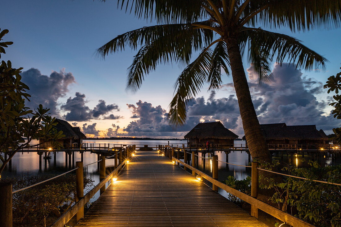 Kokospalmen und Holzsteg der zu Überwasserbungalows des Sofitel Bora Bora Private Island Resort in der Lagune von Bora Bora führt bei Tagesanbruch, Bora Bora, Leeward Islands, Französisch-Polynesien, Südpazifik