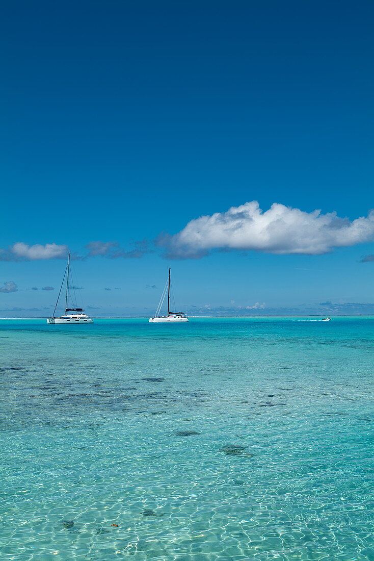 Katamaran Segelboote im türkisfarbenen Wasser der Lagune von Bora Bora, Bora Bora, Leeward Islands, Französisch-Polynesien, Südpazifik
