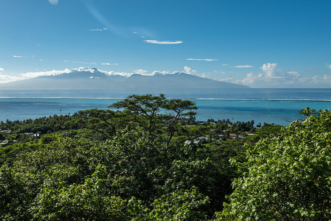 Lush hillside vegetation overlooking the island of Tahiti seen from hiking excursion with Valentin Urarii from Moorea Trek, Moorea, Windward Islands, French Polynesia, South Pacific