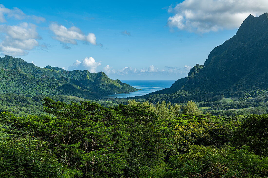 Üppige Vegetation und Opunohu Bay vom Belvedere Lookout gesehen, Moorea, Windward Islands, Französisch-Polynesien, Südpazifik aus gesehen