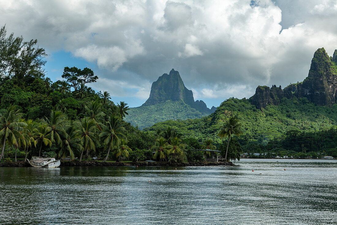 Cook's Bay coastline with Mount Tohivea in the distance, Moorea, Windward Islands, French Polynesia, South Pacific