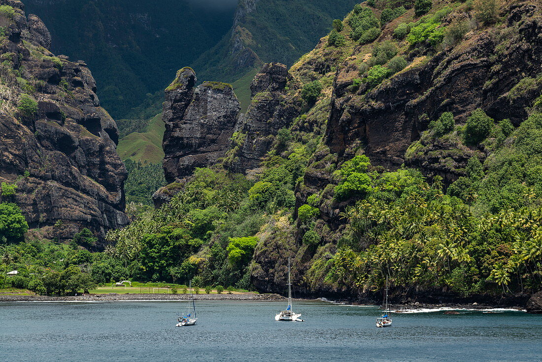 Sailboats in the sheltered Hanavave Bay with palm trees in front of a mountain backdrop, Hanavave, Fatu Hiva, Marquesas Islands, French Polynesia, South Pacific