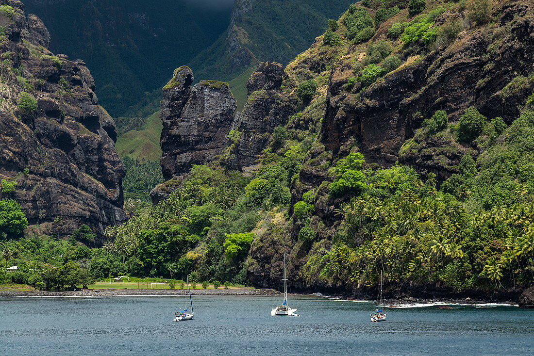Segelboote in der geschützten Hanavave Bay mit Palmen vor Bergkulisse, Hanavave, Fatu Hiva, Marquesas-Inseln, Französisch-Polynesien, Südpazifik