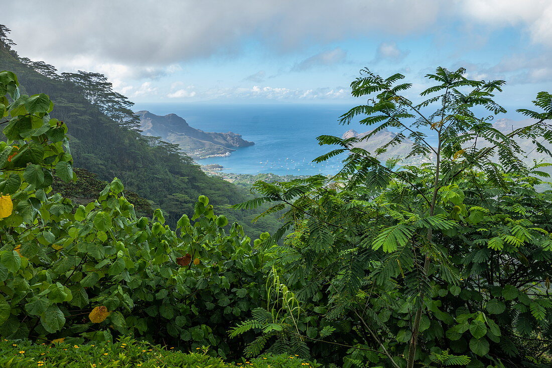 Blick auf üppige Vegetation und die Taiohae Bay, nahe Taiohae, Nuku Hiva, Marquesas-Inseln, Französisch-Polynesien, Südpazifik