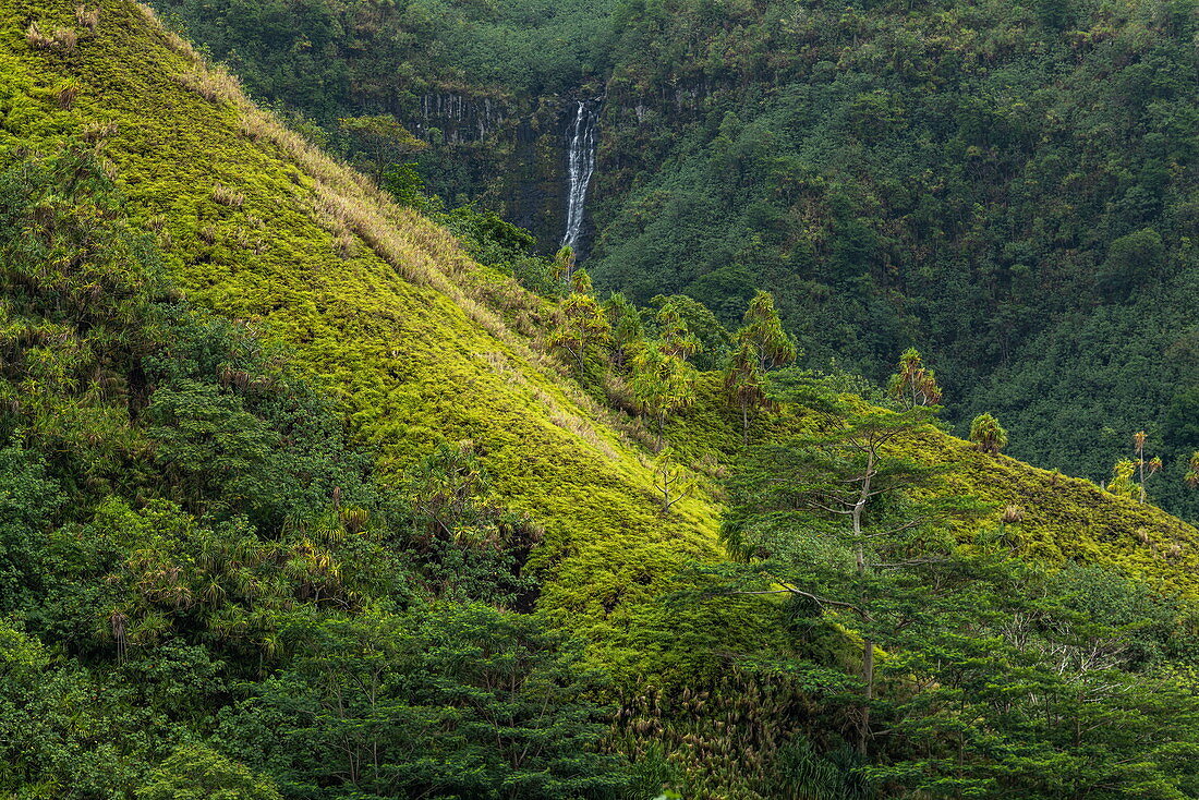 Ein Wasserfall stürzt einen Berghang inmitten üppiger Dschungelvegetation hinunter, nahe Taipivai, Nuku Hiva, Marquesas-Inseln, Französisch-Polynesien, Südpazifik