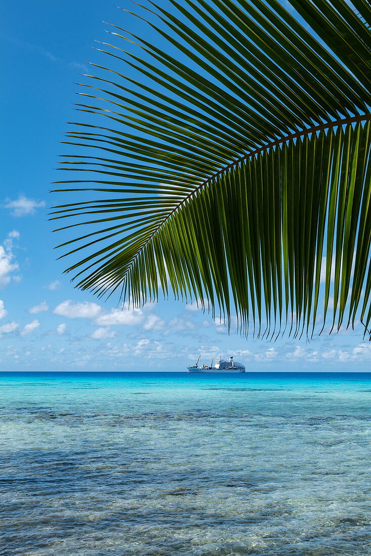 Palm fronds with passenger cargo ship Aranui 5 (Aranui Cruises) moored in the lagoon in the distance, Avatoru Island, Rangiroa Atoll, Tuamotu Islands, French Polynesia, South Pacific