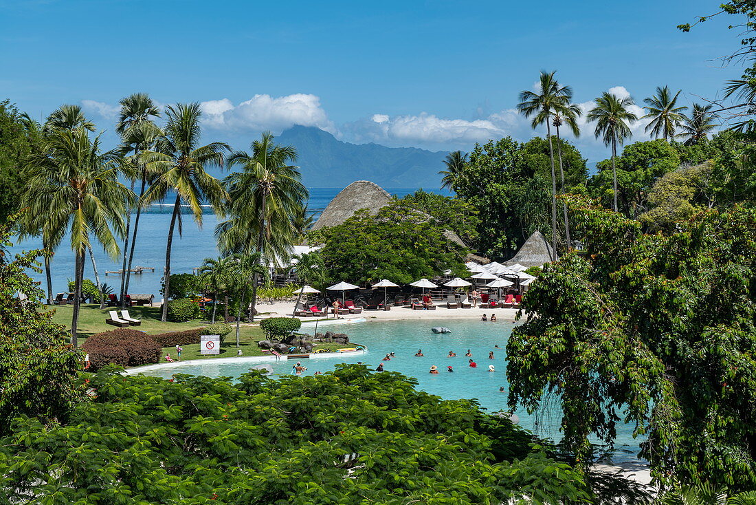 Kokospalmen und Schwimmbad im Tahiti Ia Ora Beach Resort (managed by Sofitel), nahe Papeete, Tahiti, Windward Islands, Französisch-Polynesien, Südpazifik