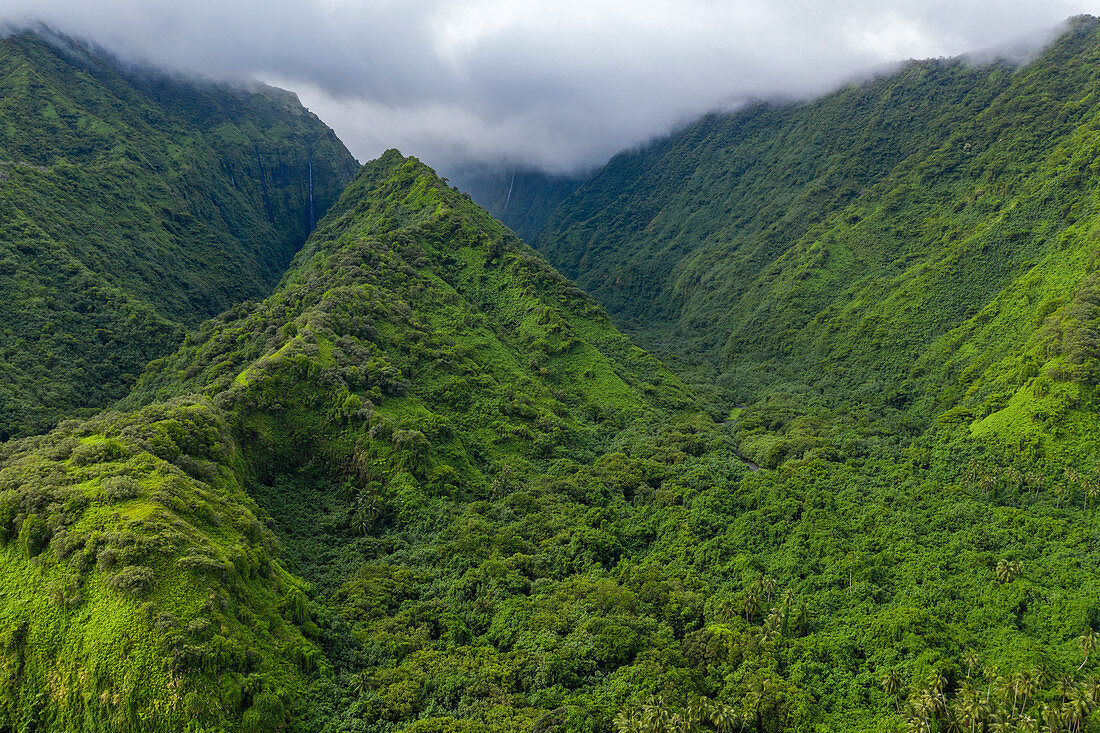Luftaufnahme des üppigen Dschungels und der Berge an der Südwestküste von Tahiti-Iti, Maraotiria, Tahiti, Windward Islands, Französisch-Polynesien, Südpazifik