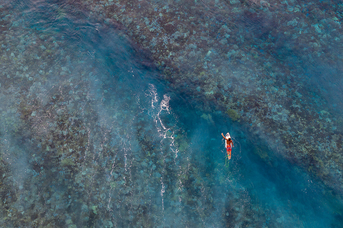Aerial view of surfers waiting for wave on reef, Nuuroa, Tahiti, Windward Islands, French Polynesia, South Pacific