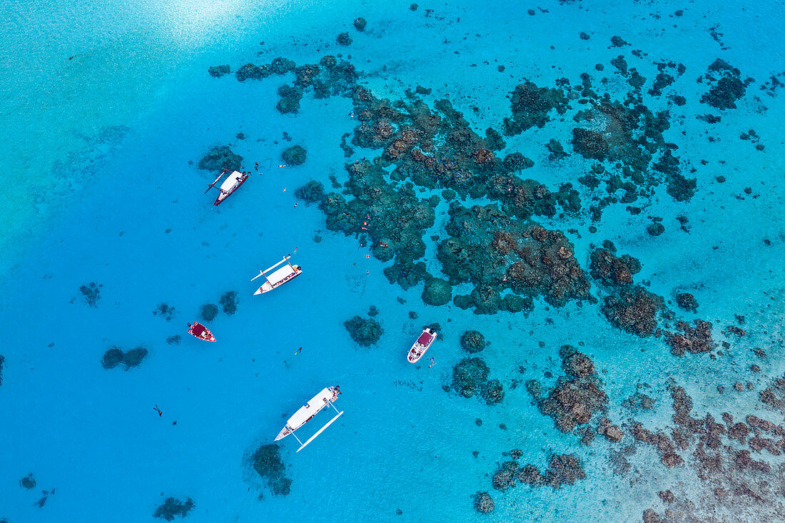 Aerial view of tour boats on snorkeling trips in the Bora Bora Lagoon, Vaitape, Bora Bora, Leeward Islands, French Polynesia, South Pacific