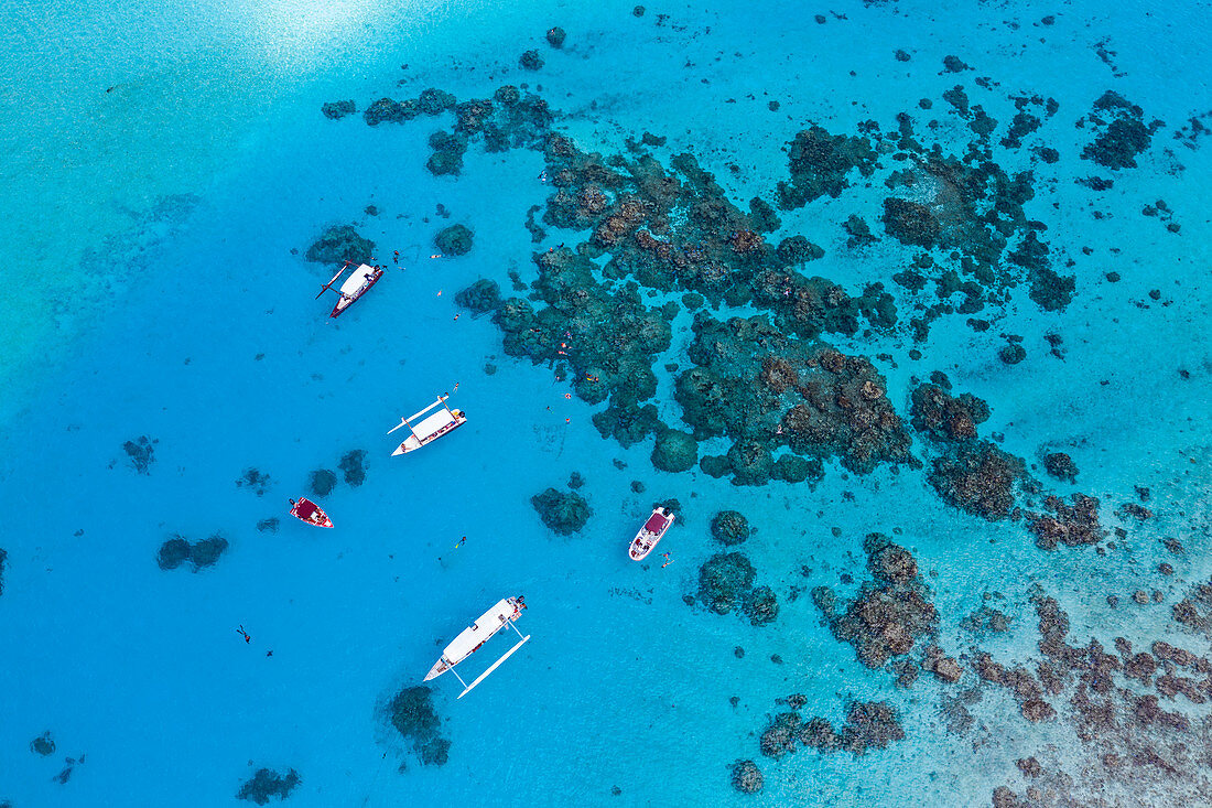 Luftaufnahme von Ausflugsbooten auf Schnorchelausflügen in der Lagune von Bora Bora, Vaitape, Bora Bora, Leeward Islands, Französisch-Polynesien, Südpazifik