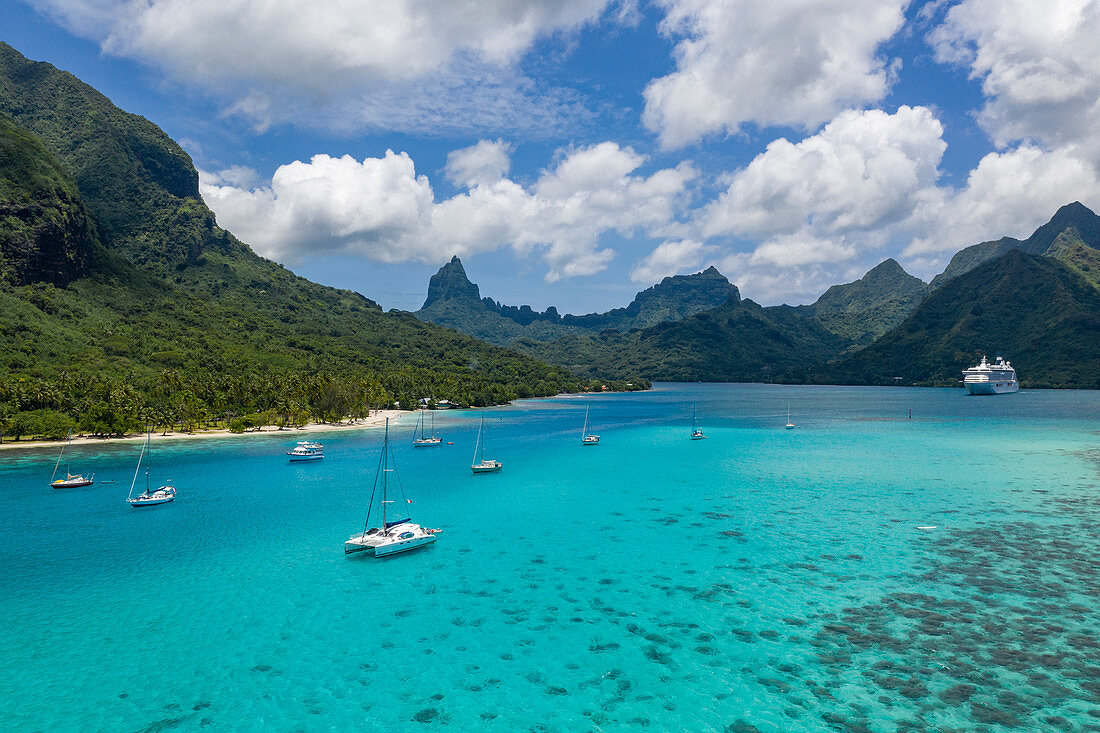 Luftaufnahme von Segelbooten vor Anker in der Opunohu Bay mit Kreuzfahrtschiff in der Ferne, Moorea, Windward Islands, Französisch-Polynesien, Südpazifik