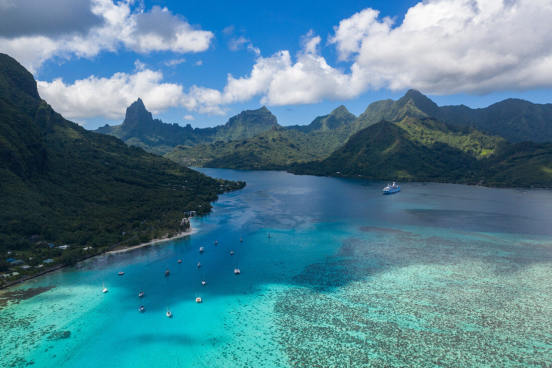 Luftaufnahme von Segelbooten vor Anker in der Opunohu Bay mit Mount Tohivea in der Ferne, Moorea, Windward Islands, Französisch-Polynesien, Südpazifik