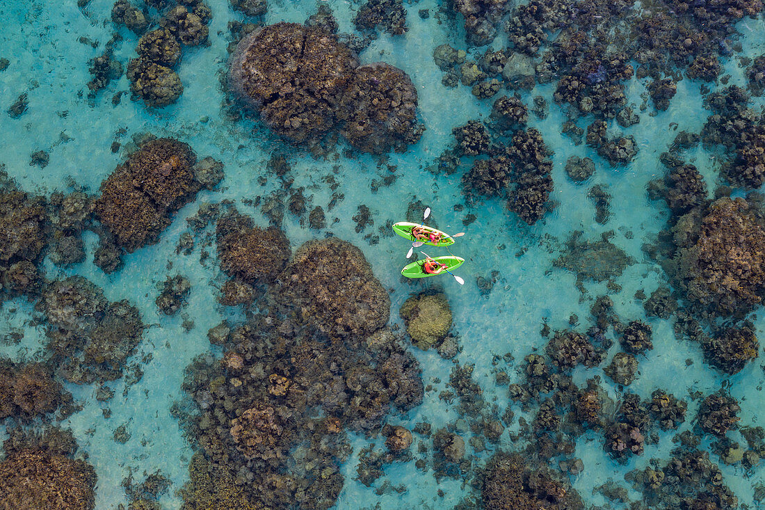 Luftaufnahme von Menschen auf SUP Stand Up Paddling Boards inmitten von Korallen in der Lagune, nahe Papeete, Tahiti, Windward Islands, Französisch-Polynesien, Südpazifik