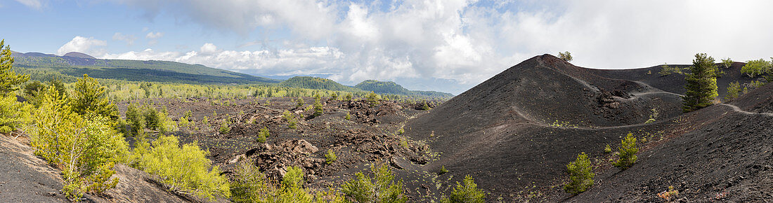 Volcanic landscape at Mount Etna, side crater Monti Sartorius, Sicily, Italy