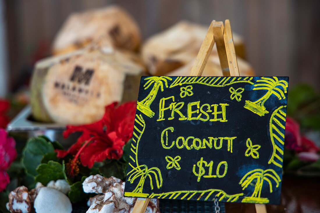 Verkaufsschild für frische Kokosnuss im Malamala Island Beach Club, Mala Mala Island, Mamanuca Group, Fidschi-Inseln, Südpazifik