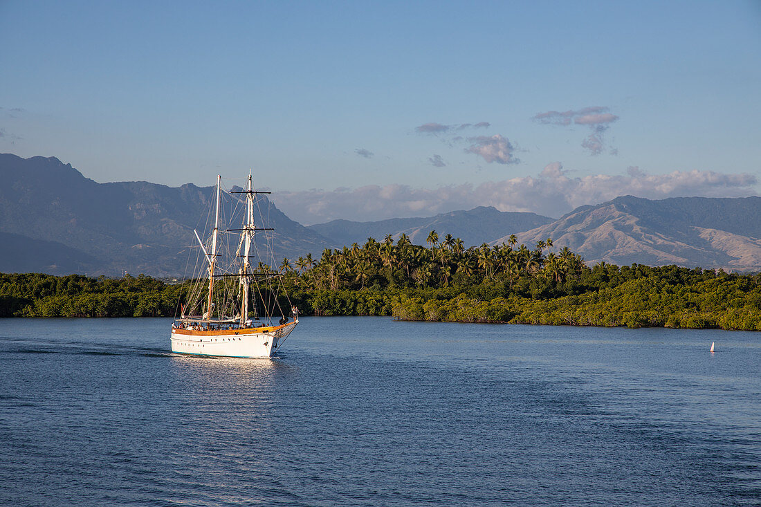 Excursion sailboat returns to Port Denarau Marina in the late afternoon with mangroves, palm trees and lush vegetation with mountains behind, Port Denarau, near Nadi, Viti Levu, Fiji Islands, South Pacific
