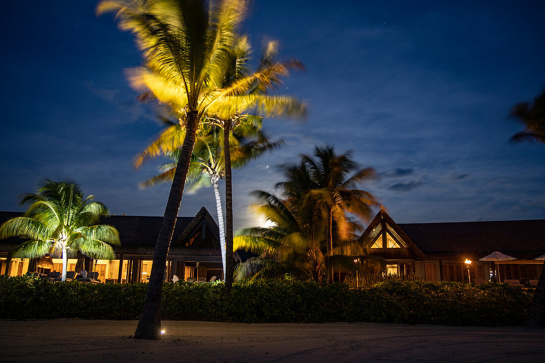 Kokospalmen und Residence Villa Unterkünfte im Six Senses Fiji Resort bei Nacht, Malolo Island, Mamanuca Group, Fidschi-Inseln, Südpazifik