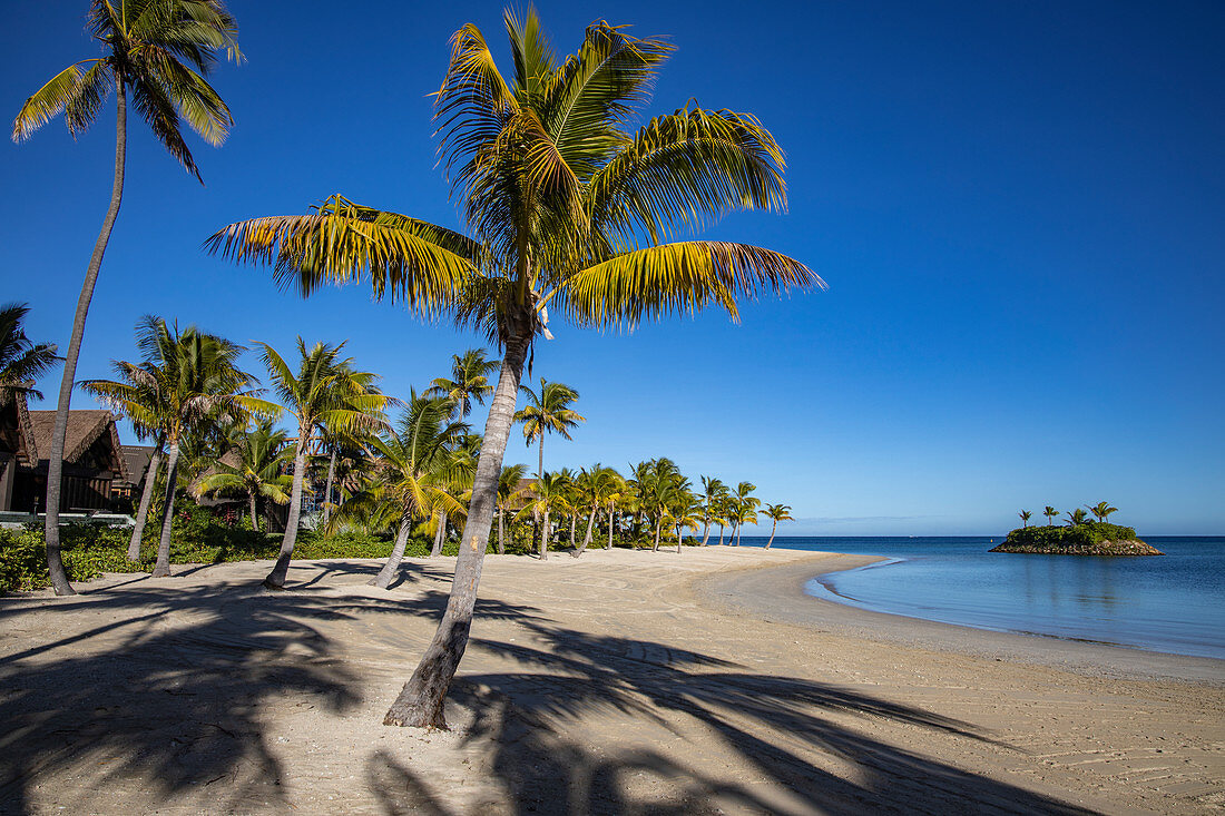 Kokospalmen und Strand im Six Senses Fiji Resort, Malolo Island, Mamanuca Group, Fidschi-Inseln, Südpazifik