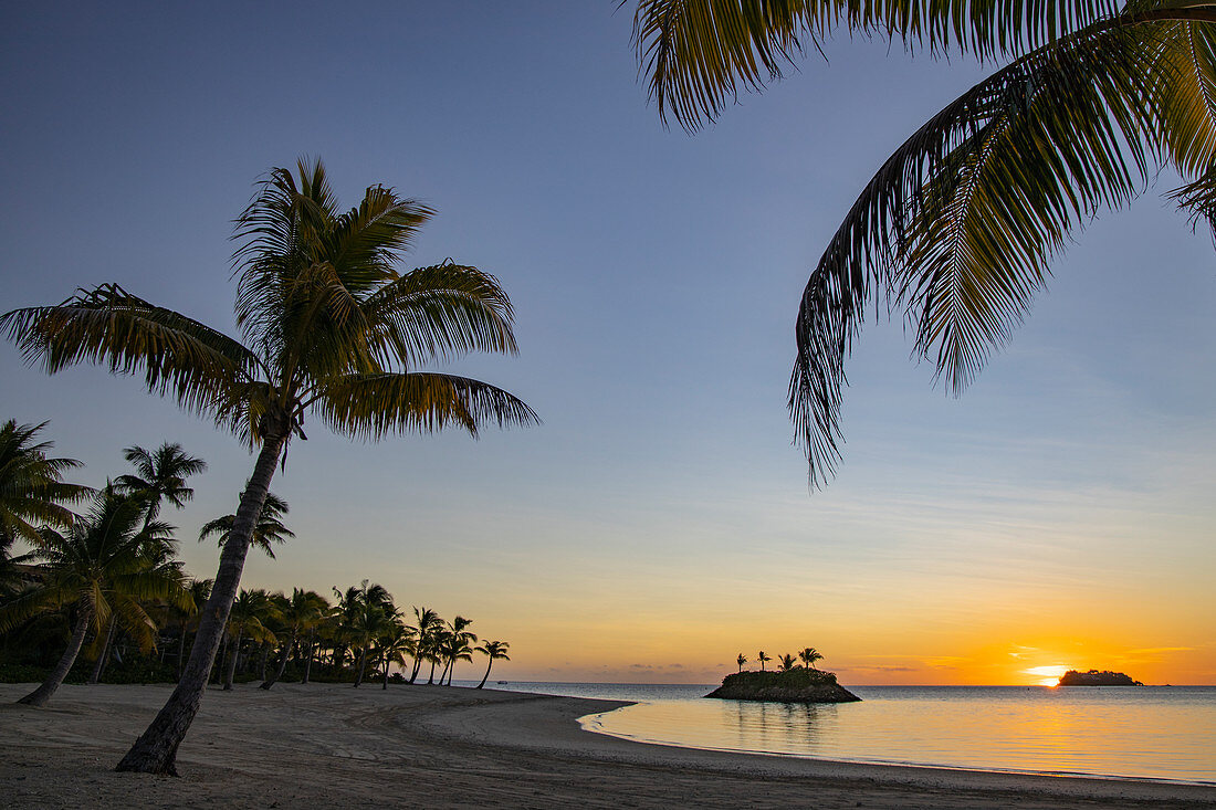 Kokospalme, Strand und kleine vorgelagerte Insel im Six Senses Fiji Resort bei Sonnenuntergang, Malolo Island, Mamanuca Group, Fidschi-Inseln, Südpazifik