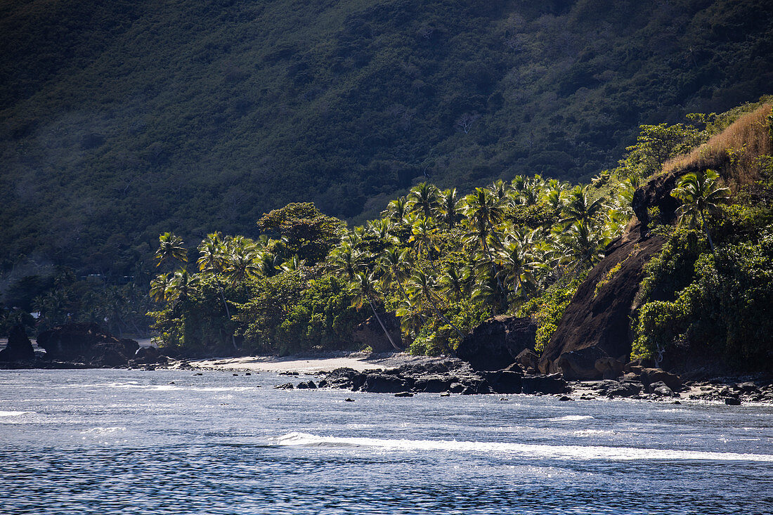 Kokospalmen und felsige Küste, Wayaseva Island, Yasawa Group, Fidschi-Inseln, Südpazifik