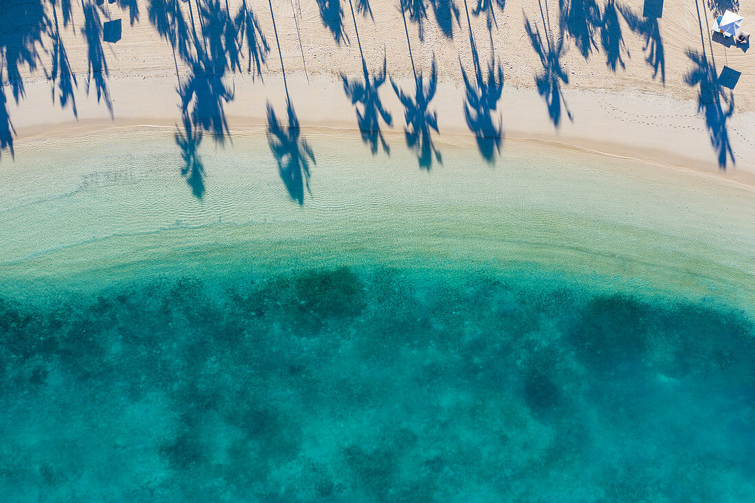 Luftaufnahme von türkisfarbenen Wasser in Bucht und Strand mit Schatten von Kokospalmen im Six Senses Fiji Resort, Malolo Island, Mamanuca Group, Fidschi-Inseln, Südpazifik