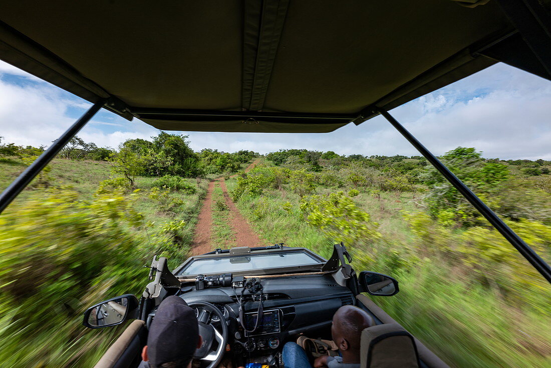 Verschwommene Bewegung beim Blick von einem Safari Fahrzeug betrieben vom Luxusresort Zeltcamp Magashi Camp (Wilderness Safaris), Akagera National Park, Eastern Province, Ruanda, Afrika