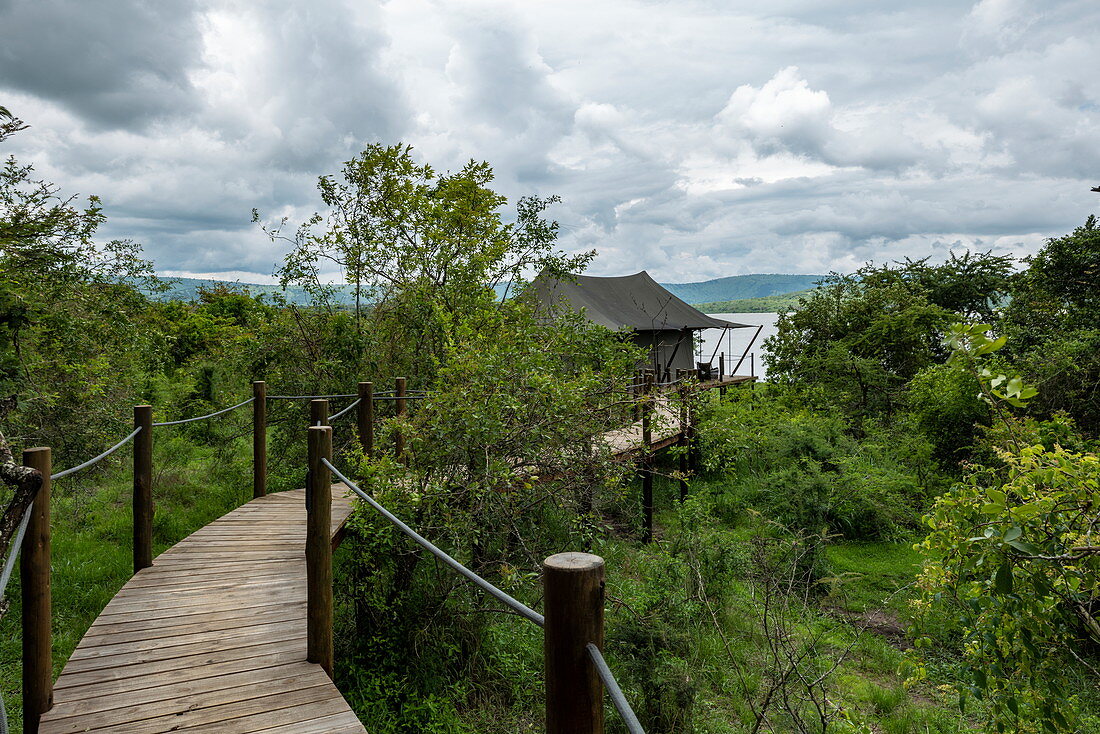 Wooden walkway leads to luxury tent accommodations at the luxury tented resort Magashi Camp (Wilderness Safaris), Akagera National Park, Eastern Province, Rwanda, Africa