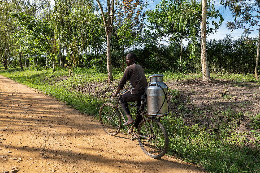 Mann transportiert Milchkanne auf Fahrrad entlang unbefestigter Straße, nahe Kabarondo, Eastern Province, Ruanda, Afrika