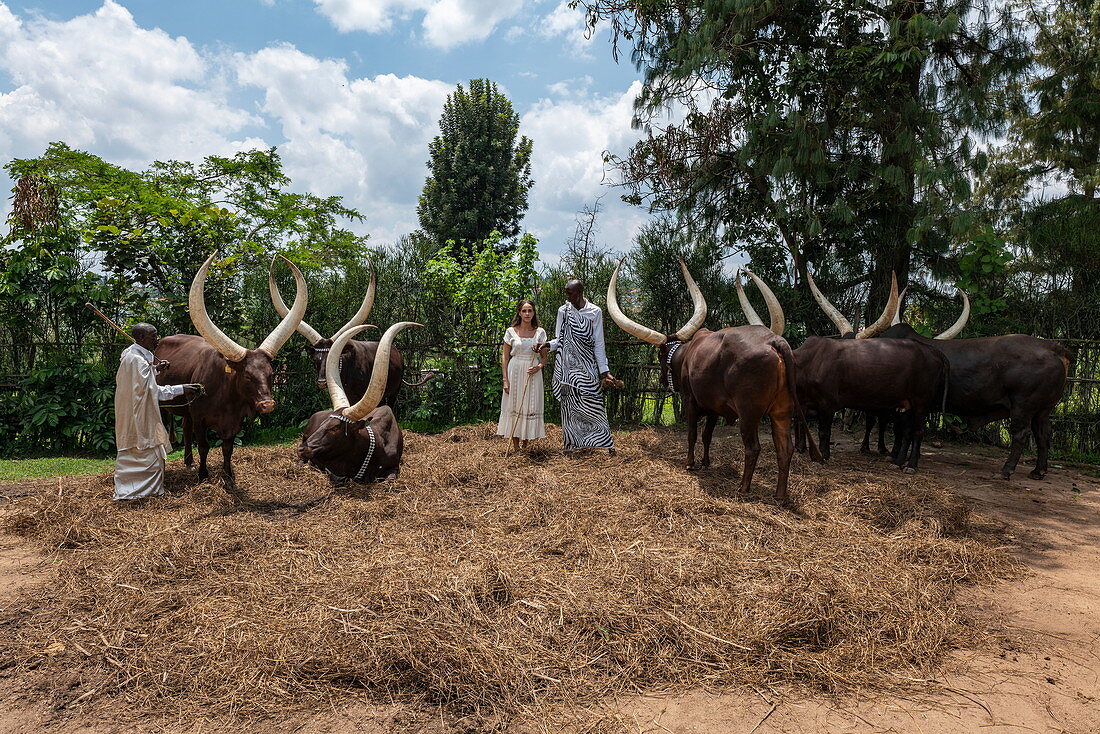 Junge Frau posiert mit Inyambo (heilige) Kühen mit riesigen Hörnern und deren Hüter im Garten des Königspalast Museum von Mutara III Rudahigwa von 1931, Nyanza, Southern Province, Ruanda, Afrika 
