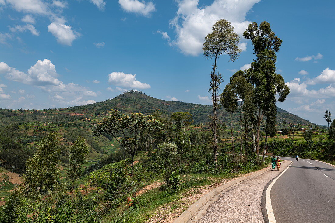 Straße mit Bergen im Hintergrund, nahe Mudasomwa, Southern Province, Ruanda, Afrika