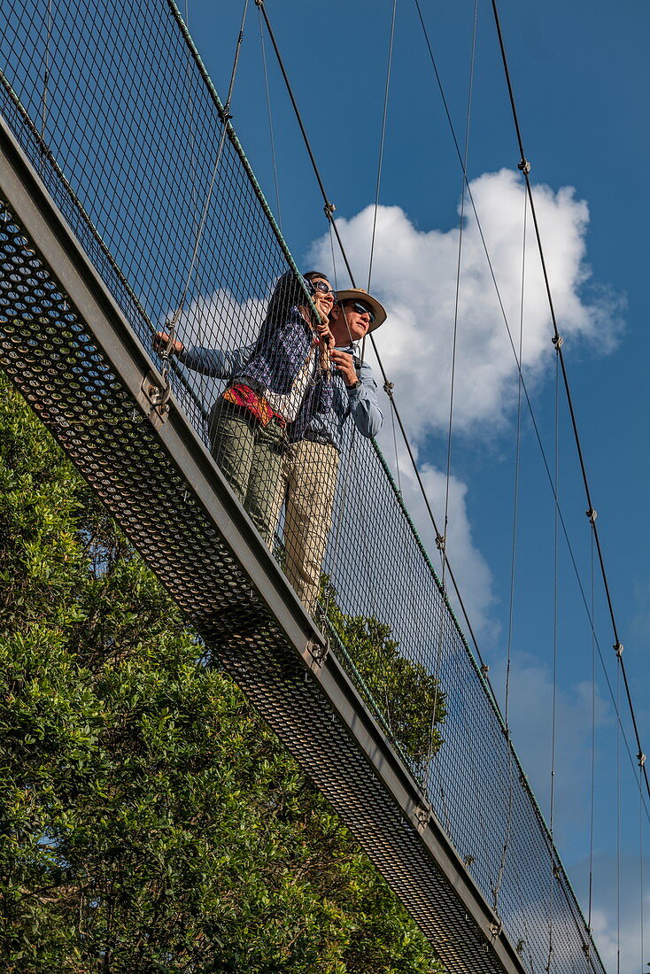 Low angle of view to couple on suspension bridge of Canopy Walkway enjoying the view, Nyungwe Forest National Park, Western Province, Rwanda, Africa