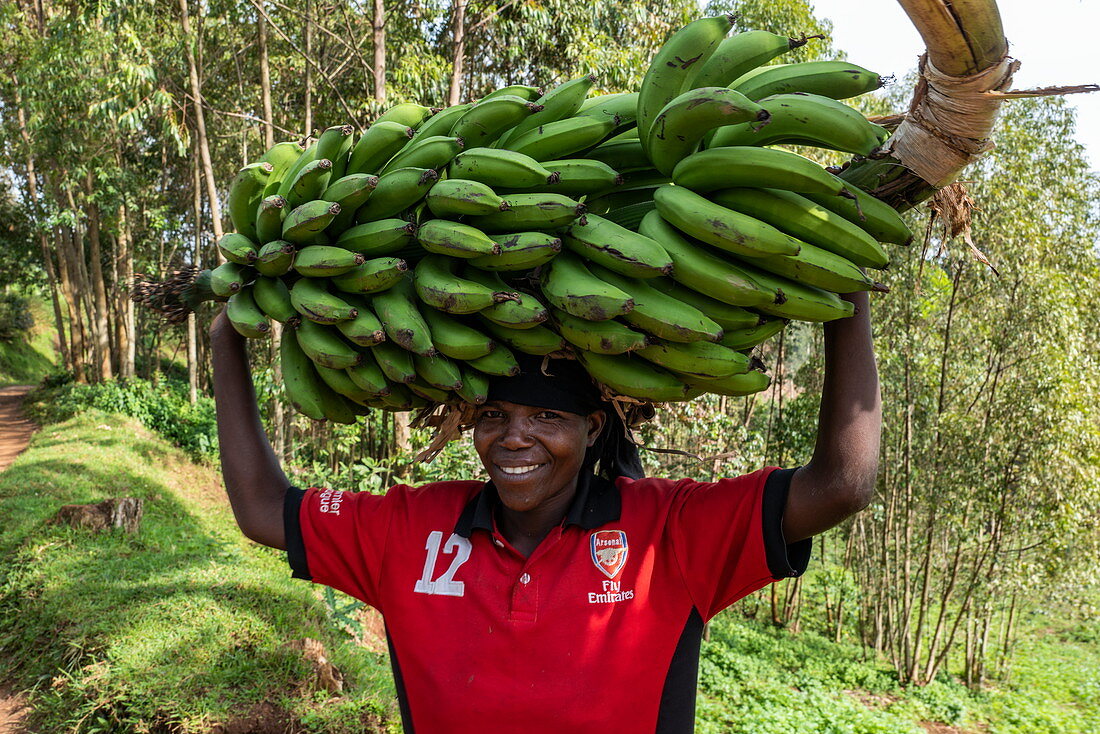 Lächelnde Frau in Arsenal Fußballtrikot trägt schwere Bananenstaude auf Kopf, nahe Gisakura, Western Province, Ruanda, Afrika