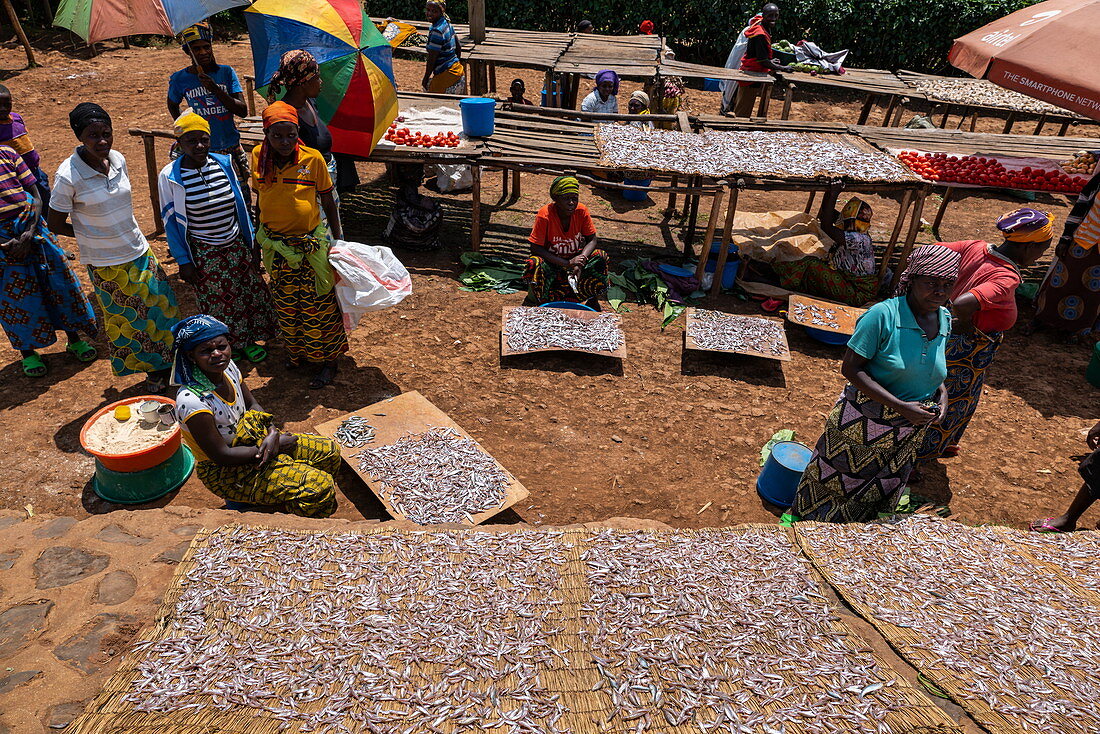 Frauen trocknen Sambaza Fisch der von singenden Fischern am Kivu See gefangen wird an einem Markt am Straßenrand, nahe Kagano, Western Province, Ruanda, Afrika