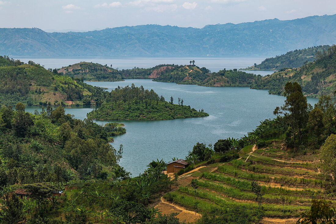 Blick über Bucht und Halbinsel am Kivu See, nahe Gitesi, Western Province, Ruanda, Afrika