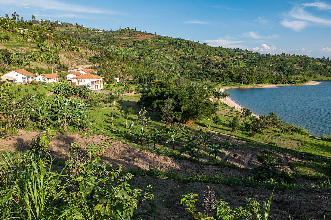 Lush gardens along the shores of Lake Kivu with Rushel Lodge in the distance, Kinunu, Western Province, Rwanda, Africa
