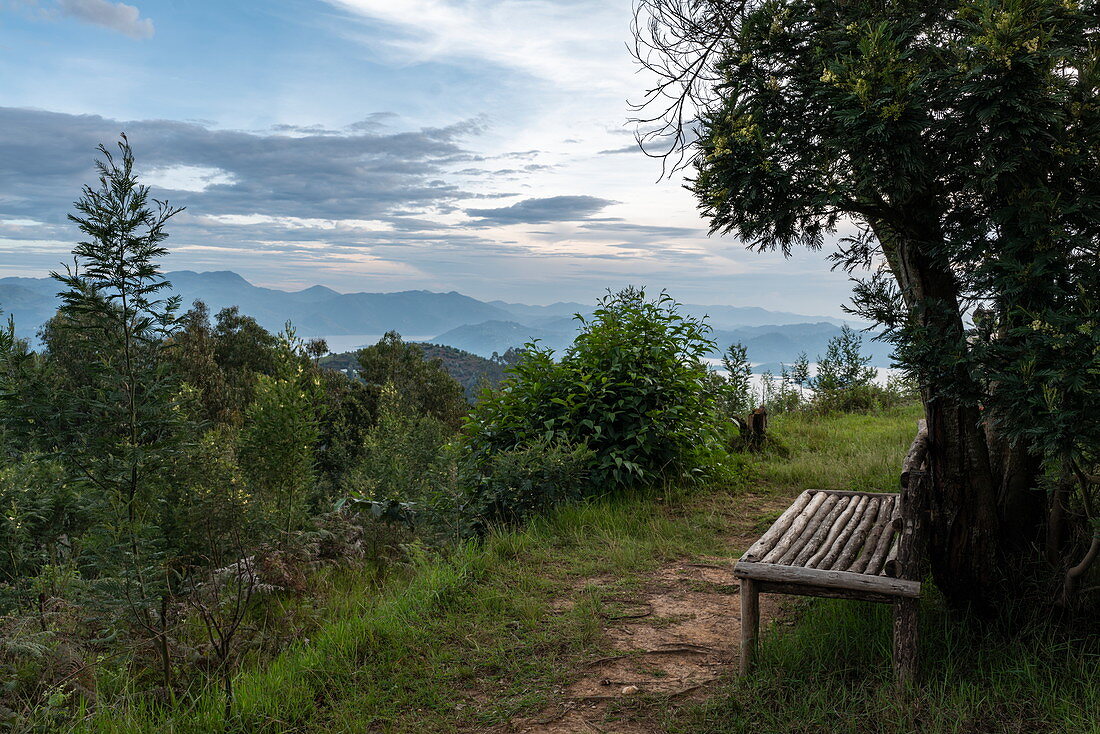 Bank mit Aussicht an der Virunga Lodge, nahe Kinyababa, Northern Province, Ruanda, Afrika