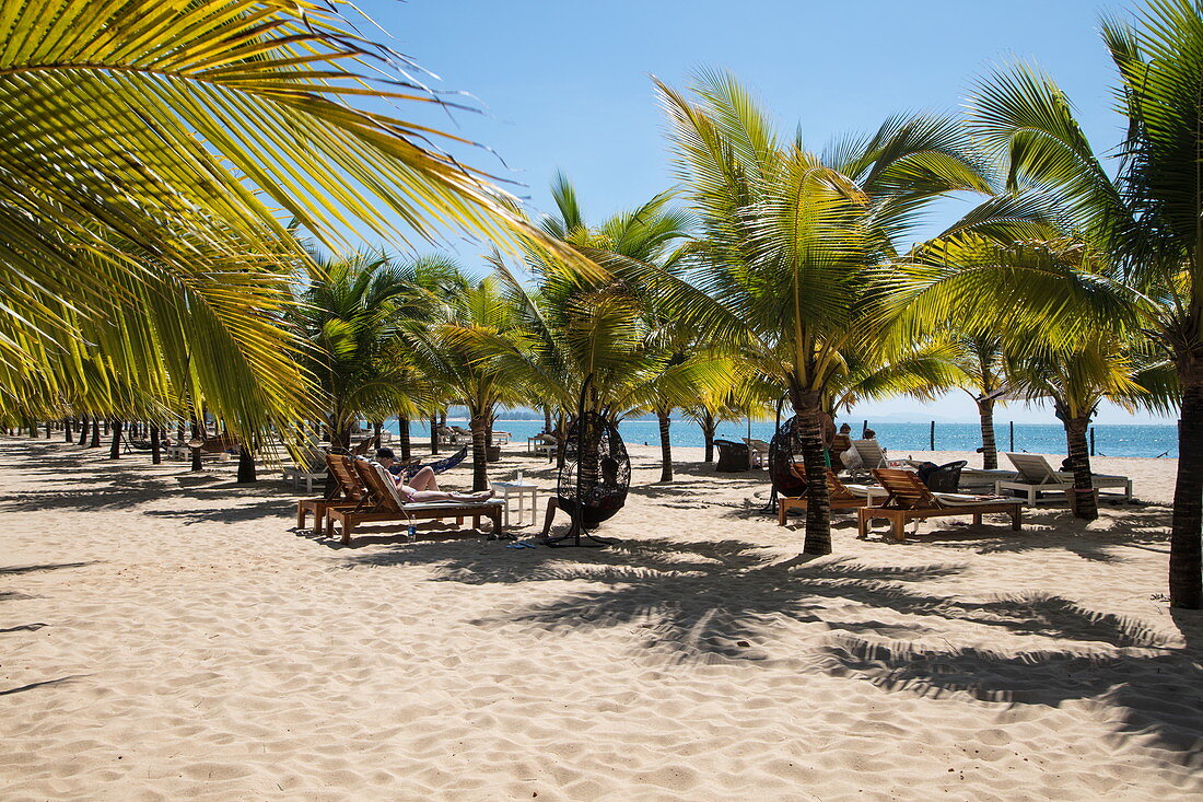 Kokospalmen und Strandliegen im Chez Carole Phu Quoc Resort am Ong Lang Beach, nahe Cua Can, Insel Phu Quoc, Kien Giang, Vietnam, Asien