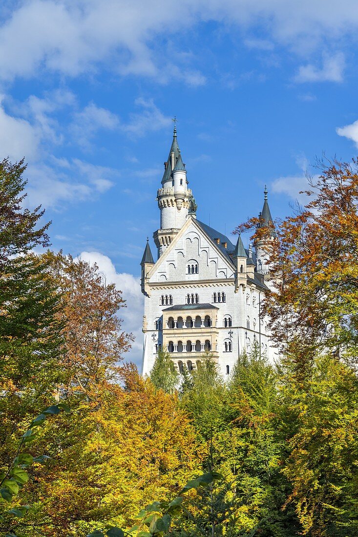 Schwangau, district Ostallgäu, Swabia, Bavaria, Germany, Europe. Autumn at the Neuschwanstein castle