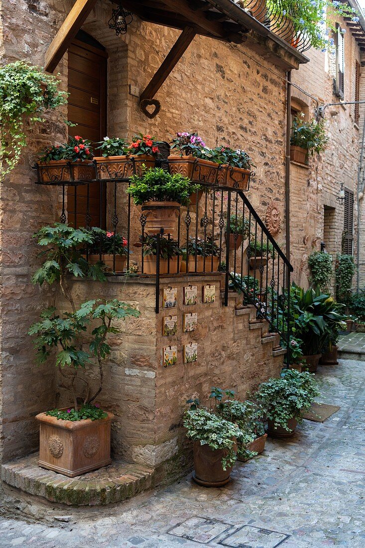 Spello, Perugia province, Umbria, Italy, Europe