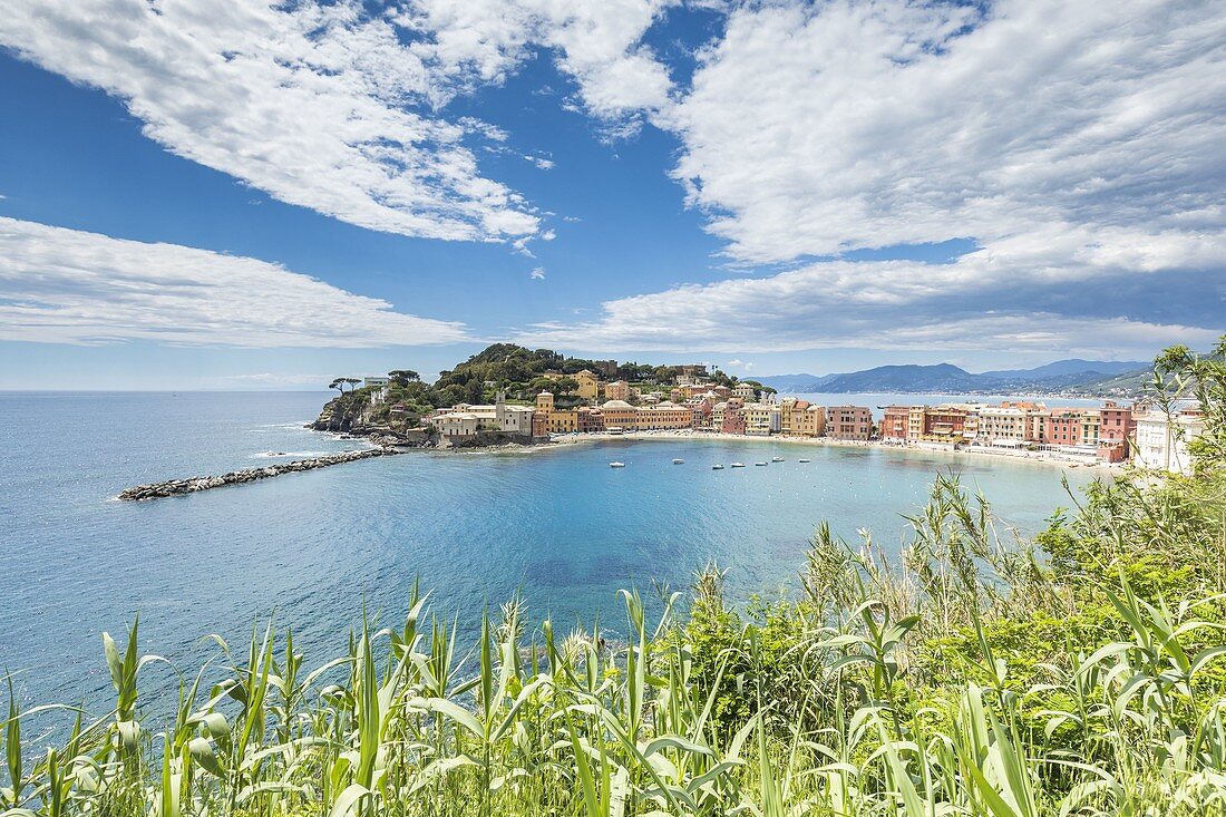 Bucht der Stille und türkisfarbener Meerblick von den Hügeln, Sestri Levante, Provinz Genua, Ligurien, Italien