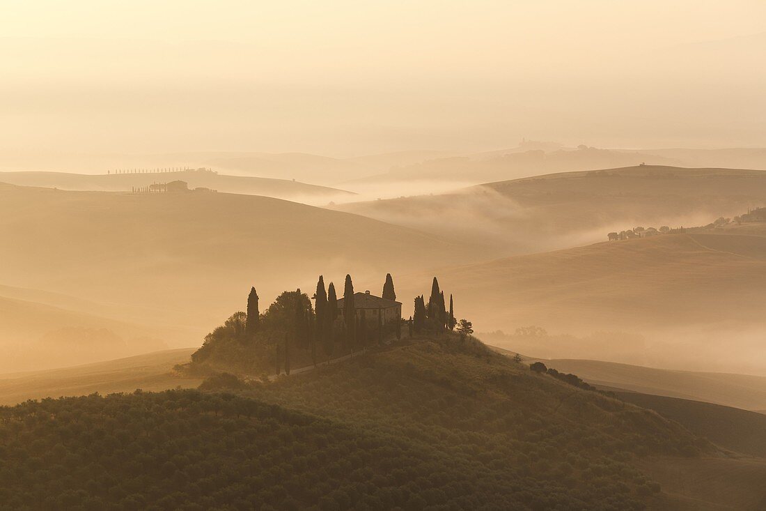 Poggio Belvedere golden sunrise, Italy, Tuscany, Siena province, San Quirico