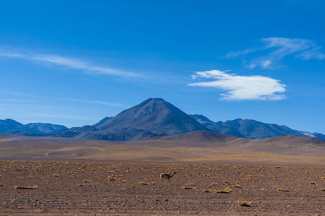 Putana Volcano, Atacama Desert, Chile.