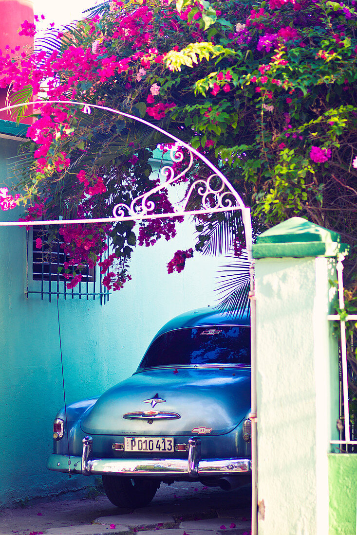 Oldtimer geparkt unter Bougainvillea Baum, Kuba